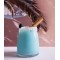 Coconut Kiss